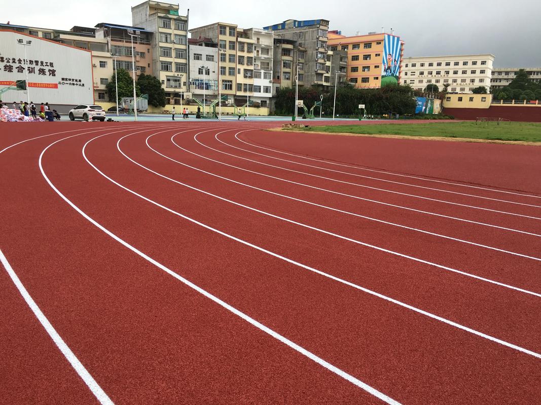 保亭黎族苗族自治县学校塑胶跑道塑胶跑道材料 - 一站式服务